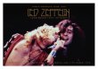 画像3: 【ミラード】LED ZEPPELIN - LONG BEACH 1975 1ST NIGHT (5CD+Limited Bonus CD) (3)