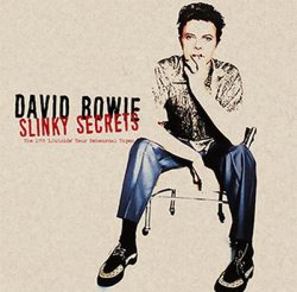 画像1: DAVID BOWIE - SLINKY SECRETS(2CD+1DVDR) (1)
