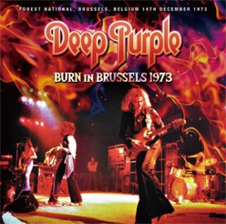 DEEP PURPLE - navy-blue